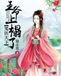 鬼医天下：王爷上榻了