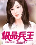 极品兵王混山村免费阅读