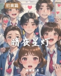 暗夜星光歌曲