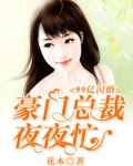 99亿闪婚:豪门总裁夜夜忙
