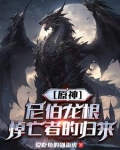 尼伯龙根的宝藏
