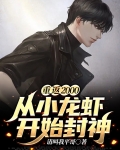 重返2000 小说
