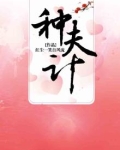 种夫计
