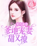 契约新婚:爹地宠妻甜又撩
