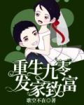 重生九零发家致富