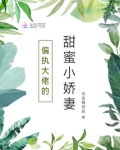 偏执大佬的甜蜜小娇妻