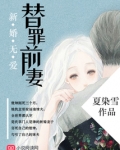 新婚无爱,替罪前妻书评