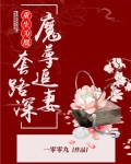 重生后魔尊追妻