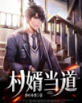 村婿当道