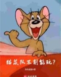猫鼠队不削能玩?
