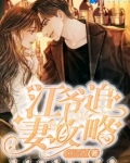 魔君追妻攻略