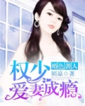 容少宠妻入骨免费