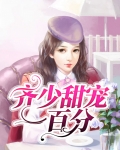 齐少乖乖宠