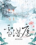 雪满庭小说讲的什么