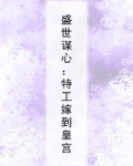 盛世谋心:特工嫁到皇宫