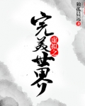 虚拟之完美世界