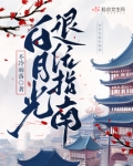 白月光再上岗指南