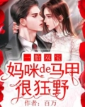 一胎双宝,妈咪的马甲很狂野