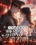 八零军婚时代免费阅读