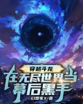 穿越到斗龙世界的小说
