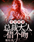 幸孕娇妻：总裁大人借个吻