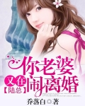 陆总，你老婆又在闹离婚