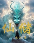 仙储水式热器用多大的曲架开关安全