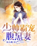 少帅霸宠腹黑妻