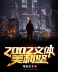 2002文体美利坚小说