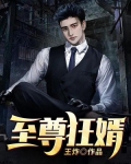 至尊狂婿叶凡唐若雪