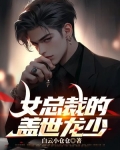 女总裁的上们龙胥龙隐
