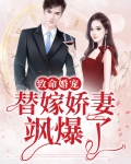 致命婚宠,替嫁娇妻飒爆了 小说