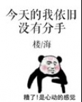 今天的我依旧没有退役下载