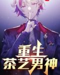 重生茶艺男神冯思佳结局