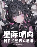 星际 哨向