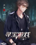 寻宝游戏作文