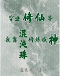 穿进修仙界:我靠混沌珠修炼成神小说