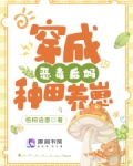 穿越成恶毒后妈养孩子的小说