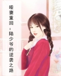 哑妻 重生