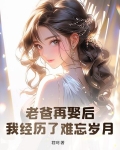 老爸再娶后,我经历了难忘岁月小说