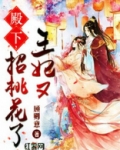 殿下王妃又招桃花了