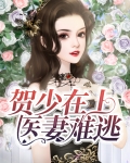 贺少贺少的闪婚暖妻