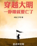 穿越大明免费阅读全文