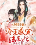 凤归巢冷王盛宠法医妃小说