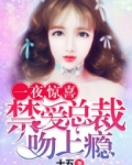 一夜惊喜:禁爱总裁吻上瘾