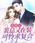离婚后,裴总又在装可怜求复合