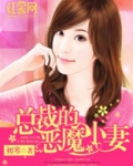 总裁的恶魔小妻
