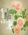 重生之会是谁妻
