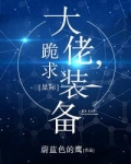 大佬跪求装备 蔚蓝色的鹰