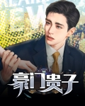 豪门贵子不锈钢门花